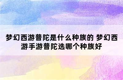 梦幻西游普陀是什么种族的 梦幻西游手游普陀选哪个种族好